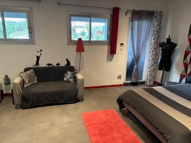 Grand Studio Avec Terrasse Appartement Vauvert Buitenkant foto